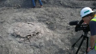 Titanoboa: Megahad minulosti (1/2)