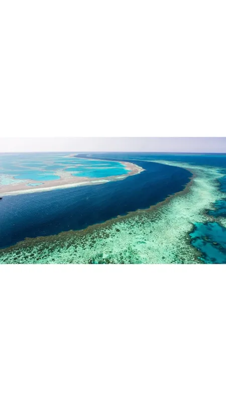 Korálová planeta (Planet Reef), 2021 - fotogaléria