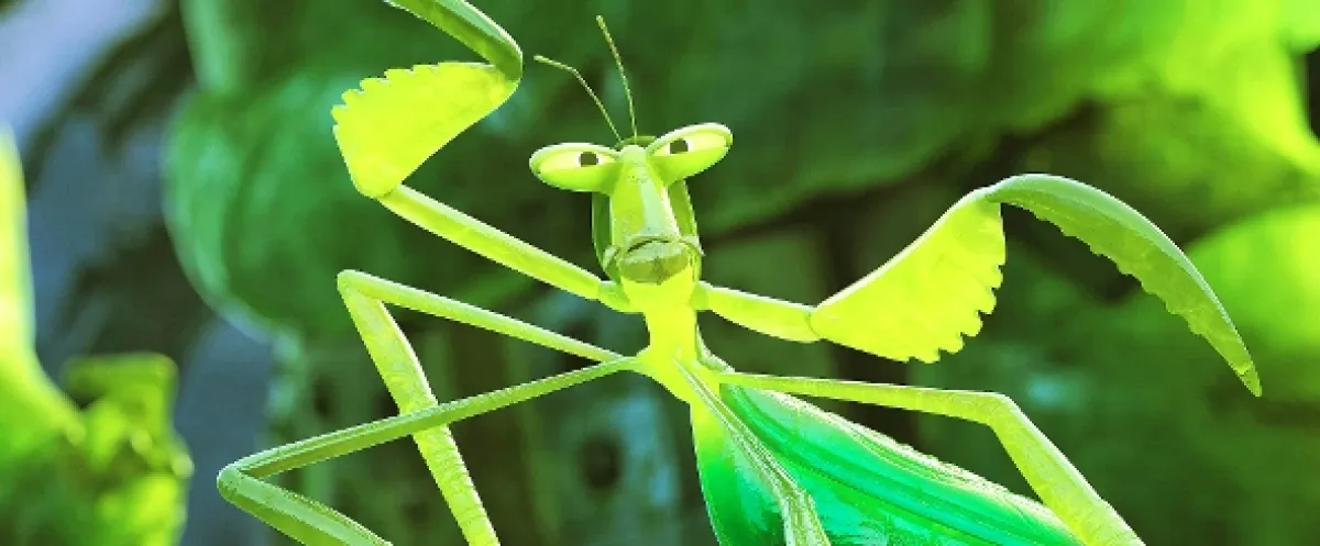 Kung Fu Panda 3, 2016 - fotogaléria