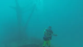Na cestě po Šalamounových ostrovech