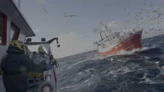 Honba za úlovkem (2)