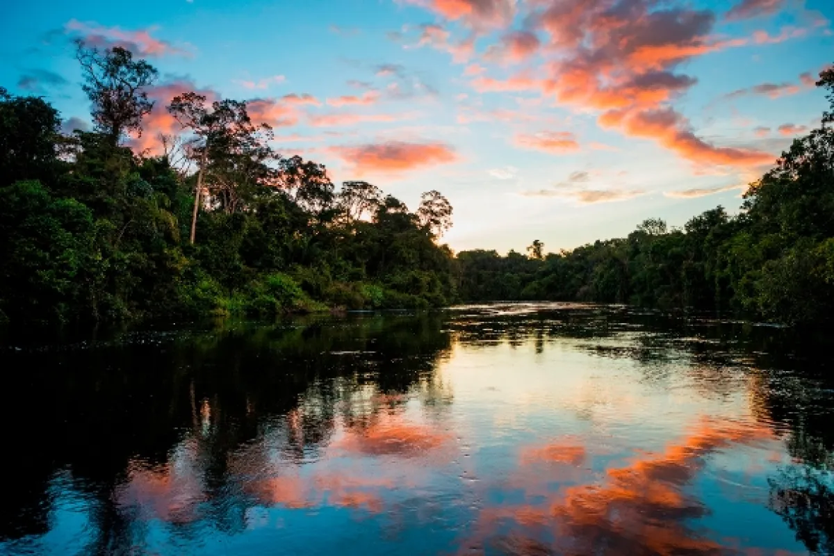 Fascinujúce rieky (Earth’s Great Rivers), 2019 - fotogaléria