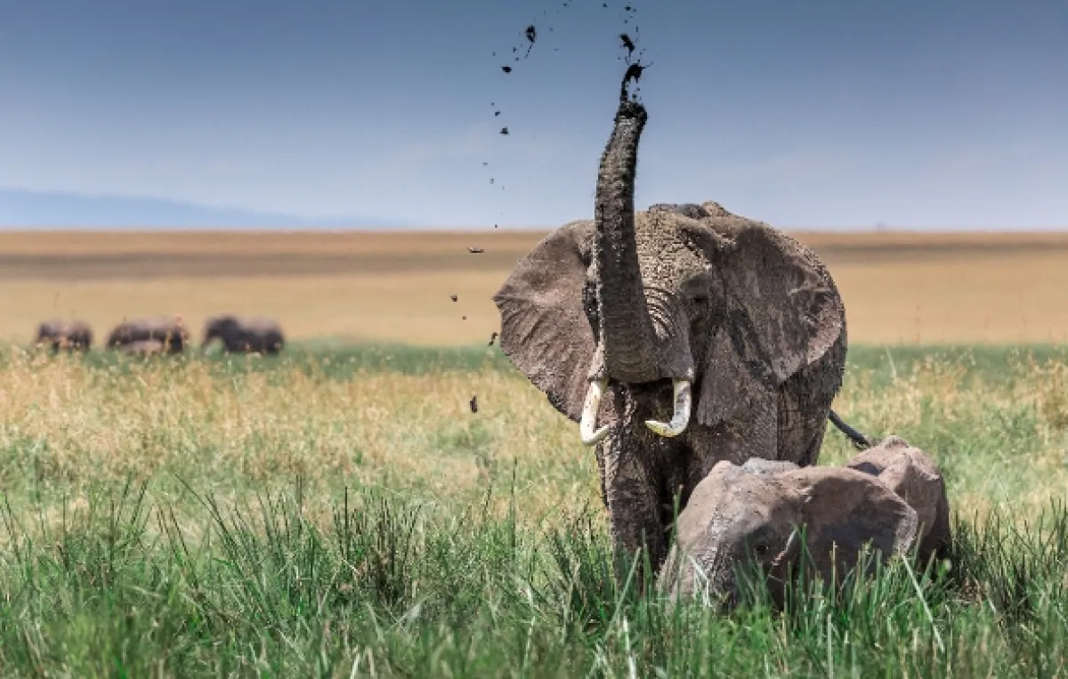 Zázraky Afriky: Noc a den (Wonders of Africa: What a Difference a Day Makes), 2018 - fotogaléria