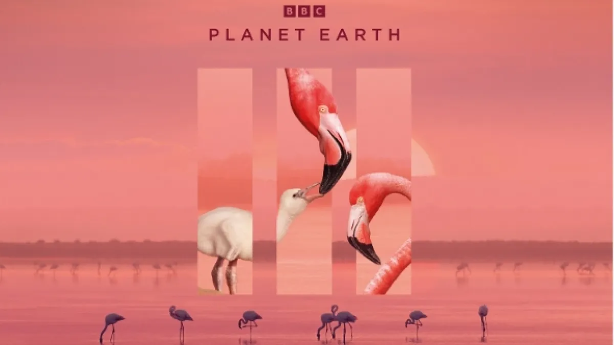 Zázračná planeta, 2023 - fotogaléria