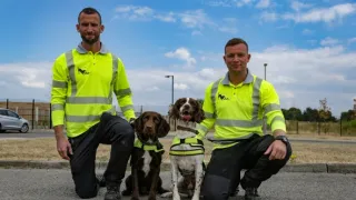 Jedinečné psie povolania (2)