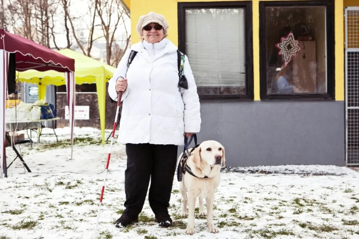 Život je pes, 2013 - fotogaléria