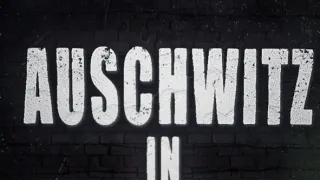 Auschwitz: Příběh 33 artefaktů (3)