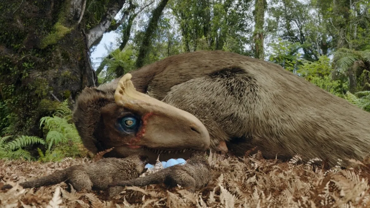 Dinosauři ledového kontinentu, 2022 - fotogaléria