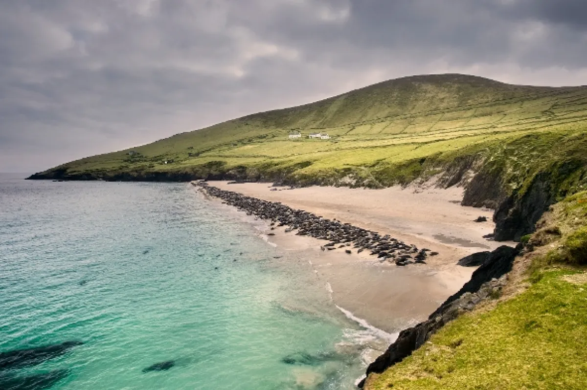 Divoké Írsko: Na okraji sveta (Wild Ireland: The Edge of the World), 2017 - fotogaléria