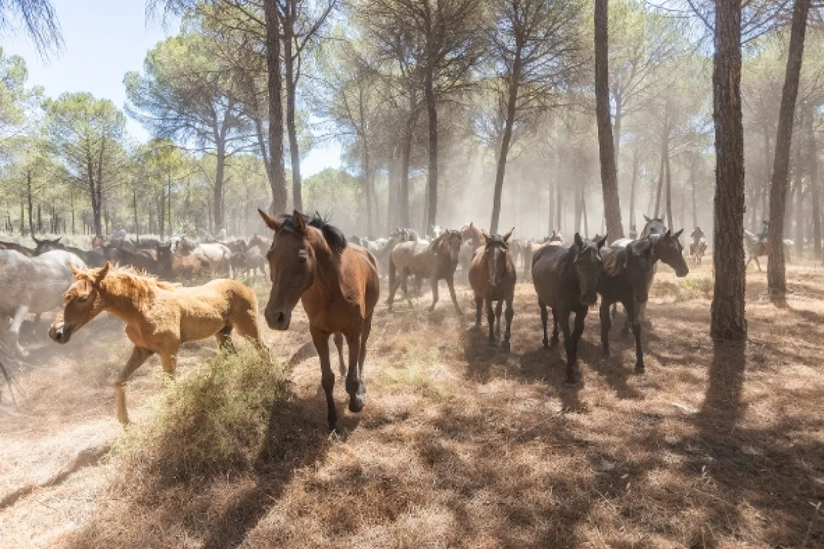 Skryté krásy Španělska, 2022 - fotogaléria