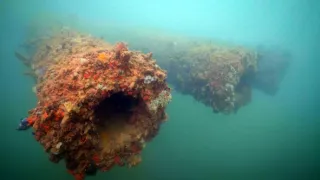 Pearl Harbor: Do útrob Arizony (1/2)
