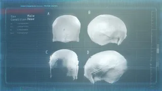 Dešifrované konšpirácie (7)