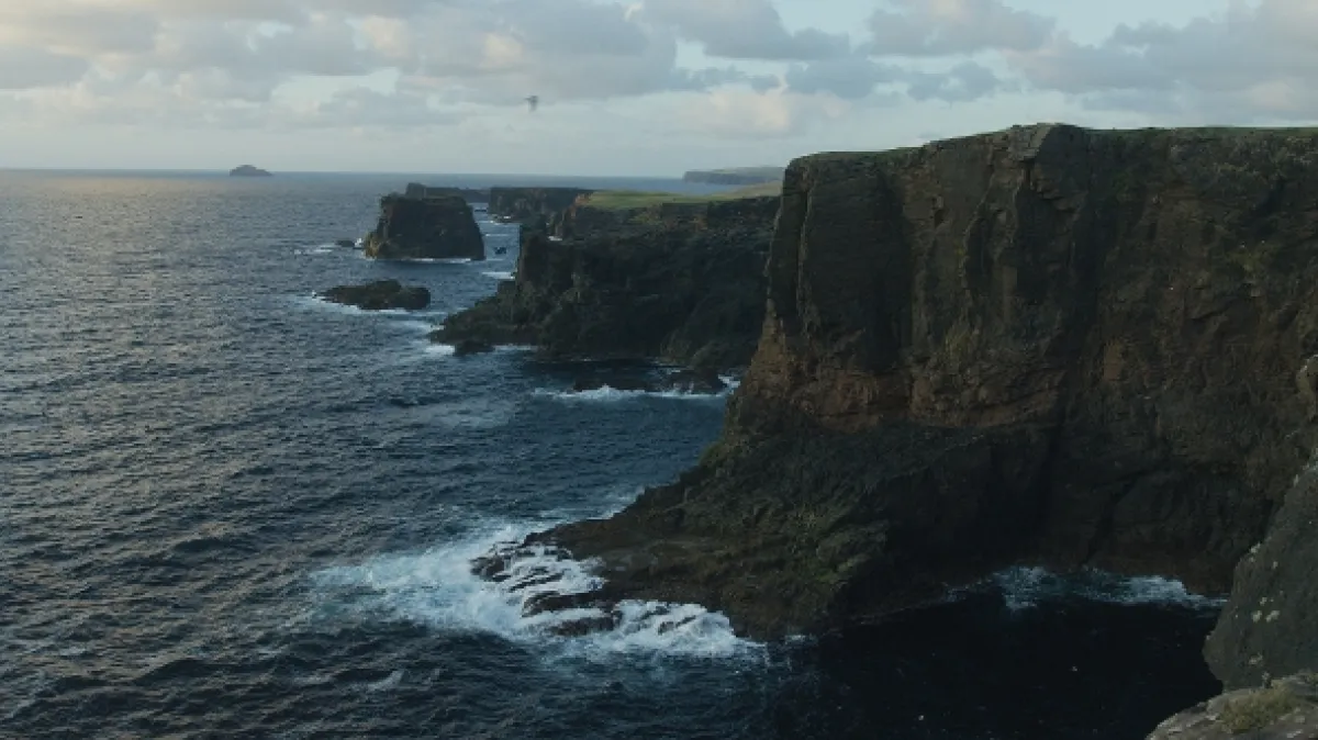 Skotsko: Rok v divočině (Scotland: A Wild Year), 2021 - fotogaléria