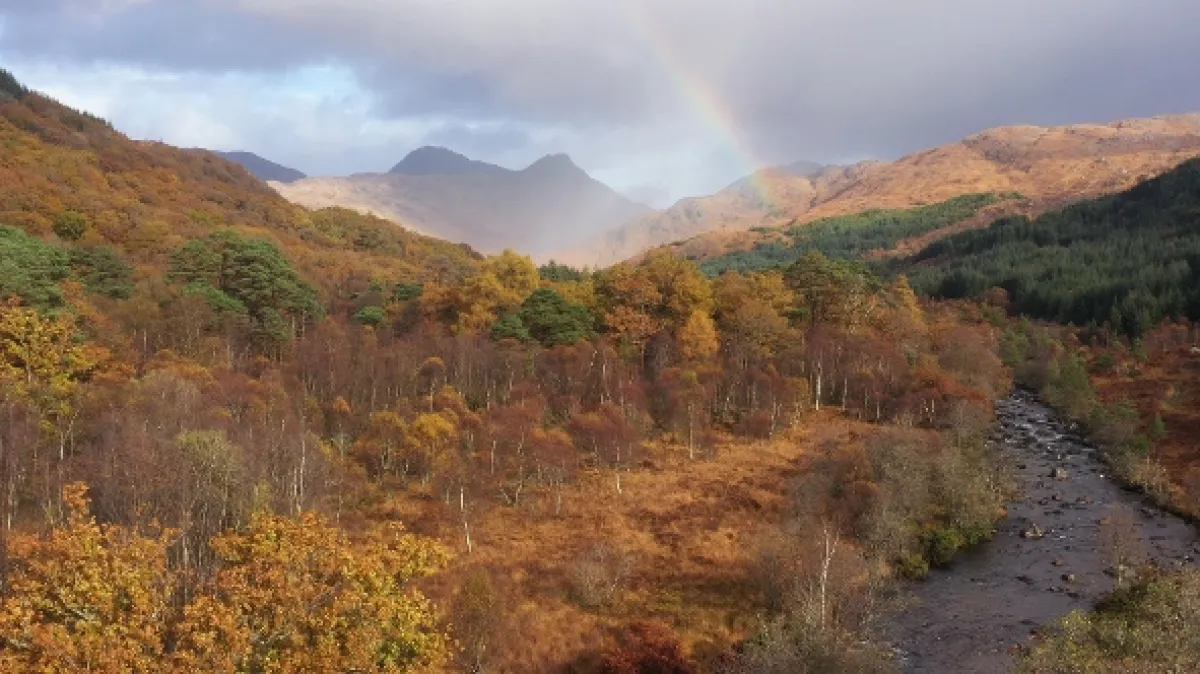 Skotsko: Rok v divočině (Scotland: A Wild Year), 2021 - fotogaléria