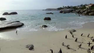 Africký vodní svět (5)