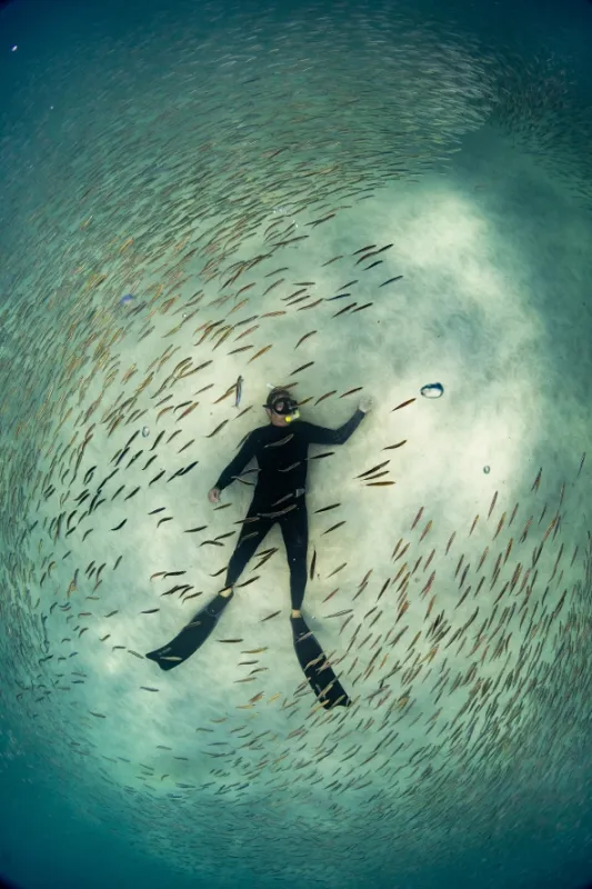 Ningaloo: Australský ráj, 2023 - fotogaléria