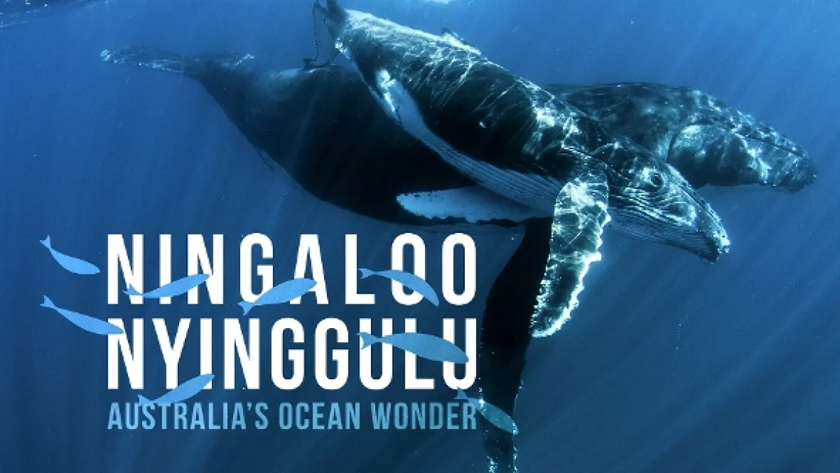 Ningaloo: Australský ráj, 2023 - fotogaléria