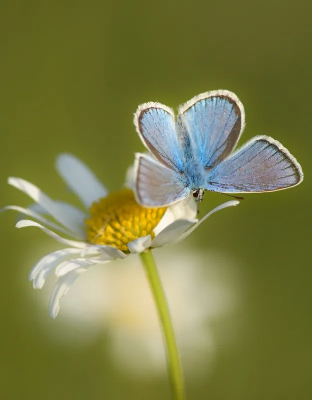 Lúka: Stratený raj (The Meadow), 2019 - fotogaléria