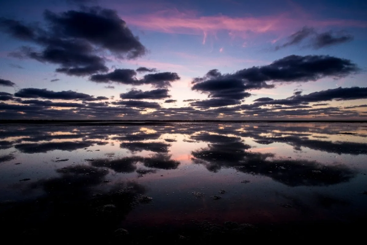 Waddenské moře: Život na hraně (The Wadden Sea: Living on the Edge), 2020 - fotogaléria