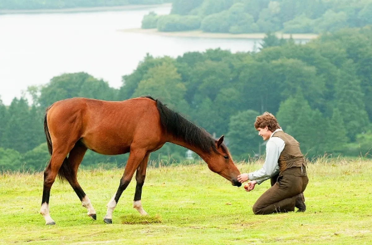 Válečný kůň (War Horse), 2011 - fotogaléria