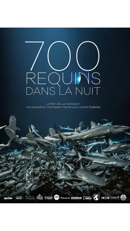 700 žraloků (700 requins dans la nuit), 2018 - fotogaléria