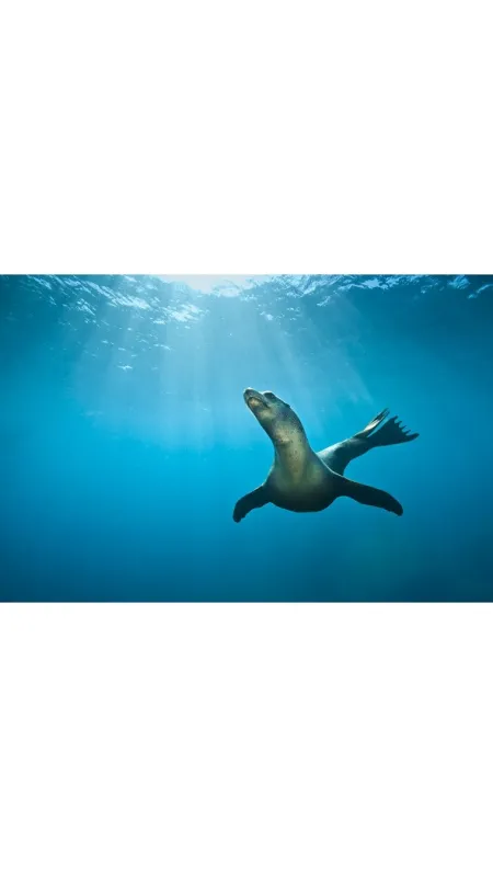 Zázračný oceán (Wonders of the Ocean), 2016 - fotogaléria