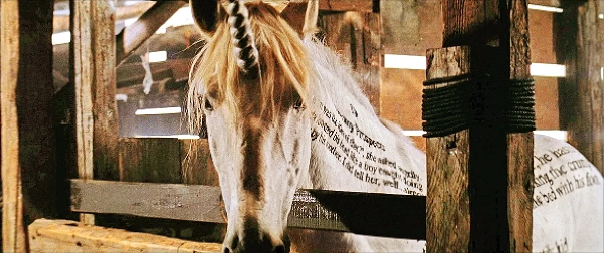 Atramentové srdce (Inkheart), 2008 - fotogaléria