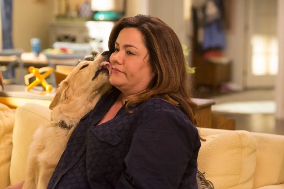 Americká manželka (American Housewife II), 2017 - fotogaléria