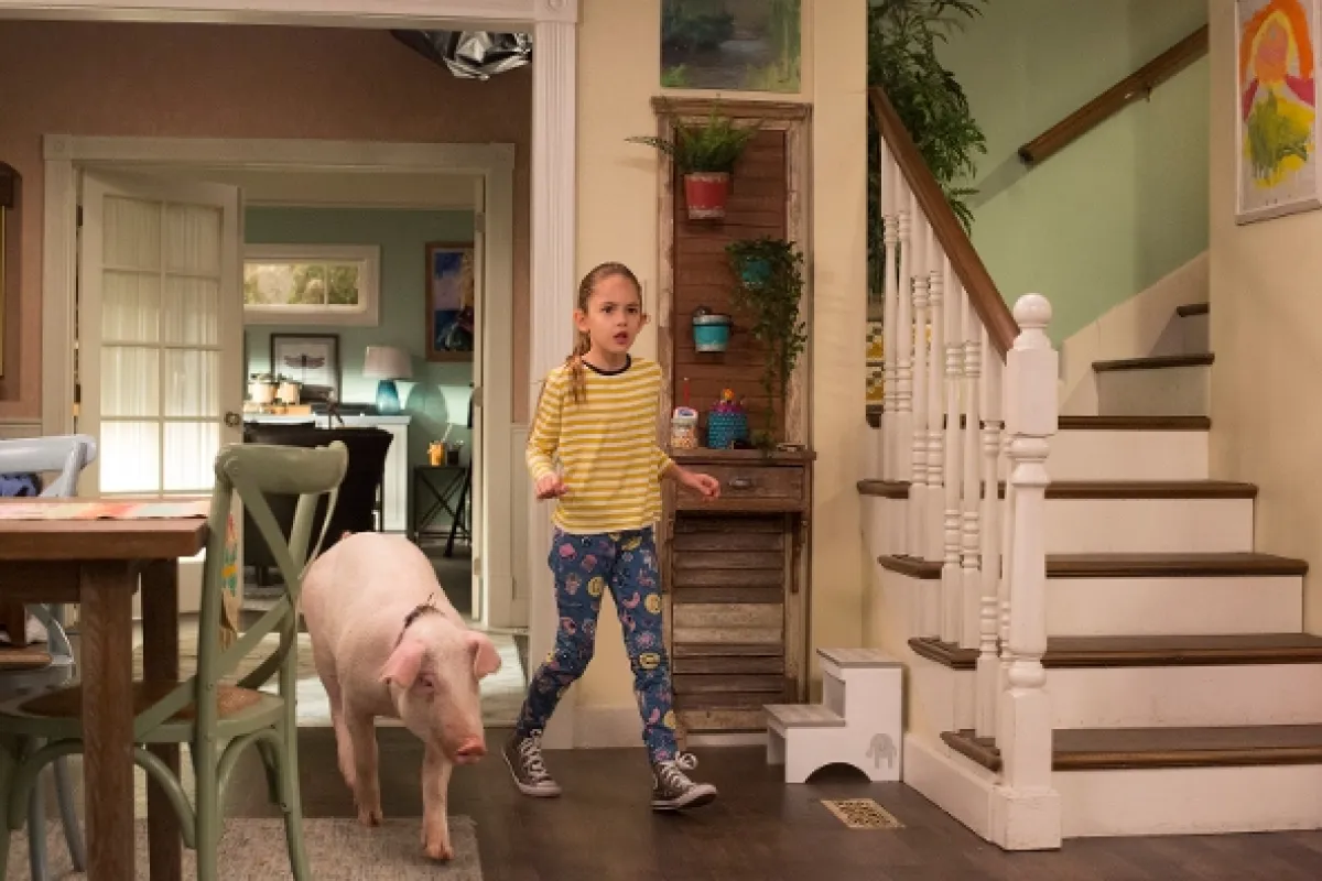 Americká manželka (American Housewife II), 2017 - fotogaléria