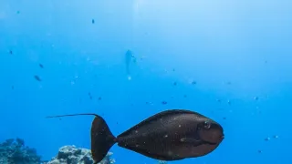 Život na útese (2)