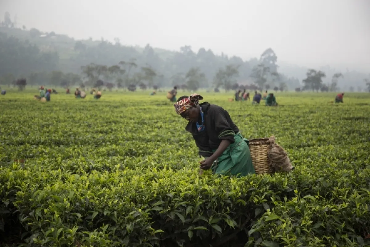 Na cestě po střední Rwandě, 2018 - fotogaléria