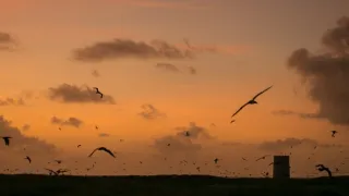 Život na útese (2)