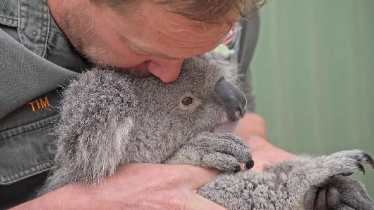 Veterinář z Bondi Beach, 2022 - fotogaléria