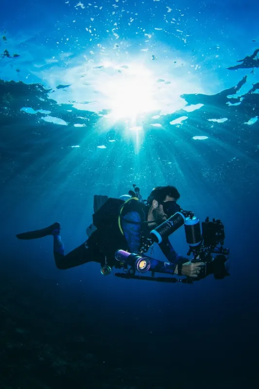Divy korálového trojúhelníku (Into the Blue), 2021 - fotogaléria
