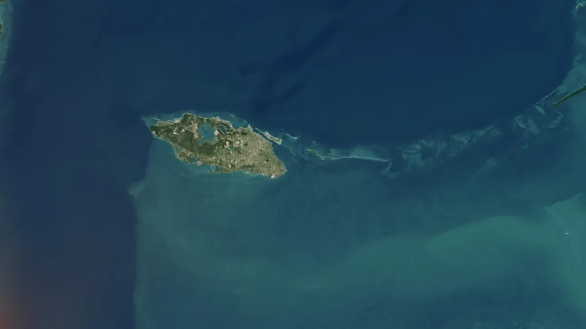 Žraloci z Bermudského trojúhelníku (Sharks of The Bermuda Triangle), 2020 - fotogaléria