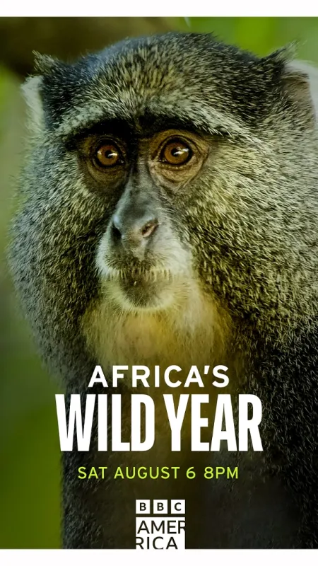 Rok v africké divočině, 2021 - fotogaléria
