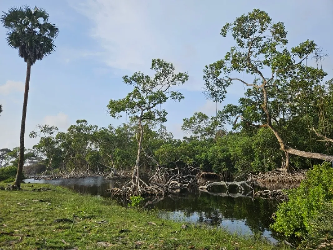 Gabon: Surfující hroši (Surfing Hippos: Gabon’s Jungle Beach), 2024 - fotogaléria