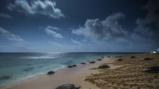 Bouřlivý rok na Zemi (6)