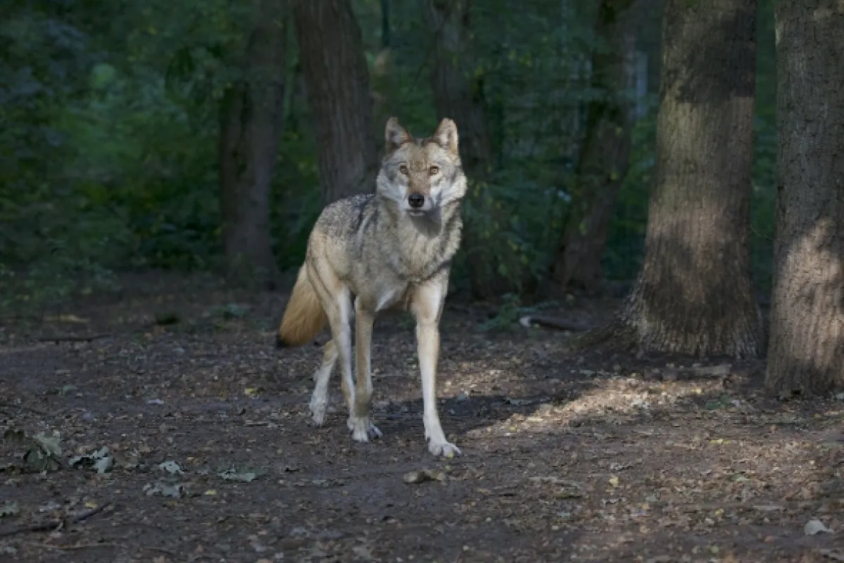 Bouřlivý rok na Zemi, 2020 - fotogaléria
