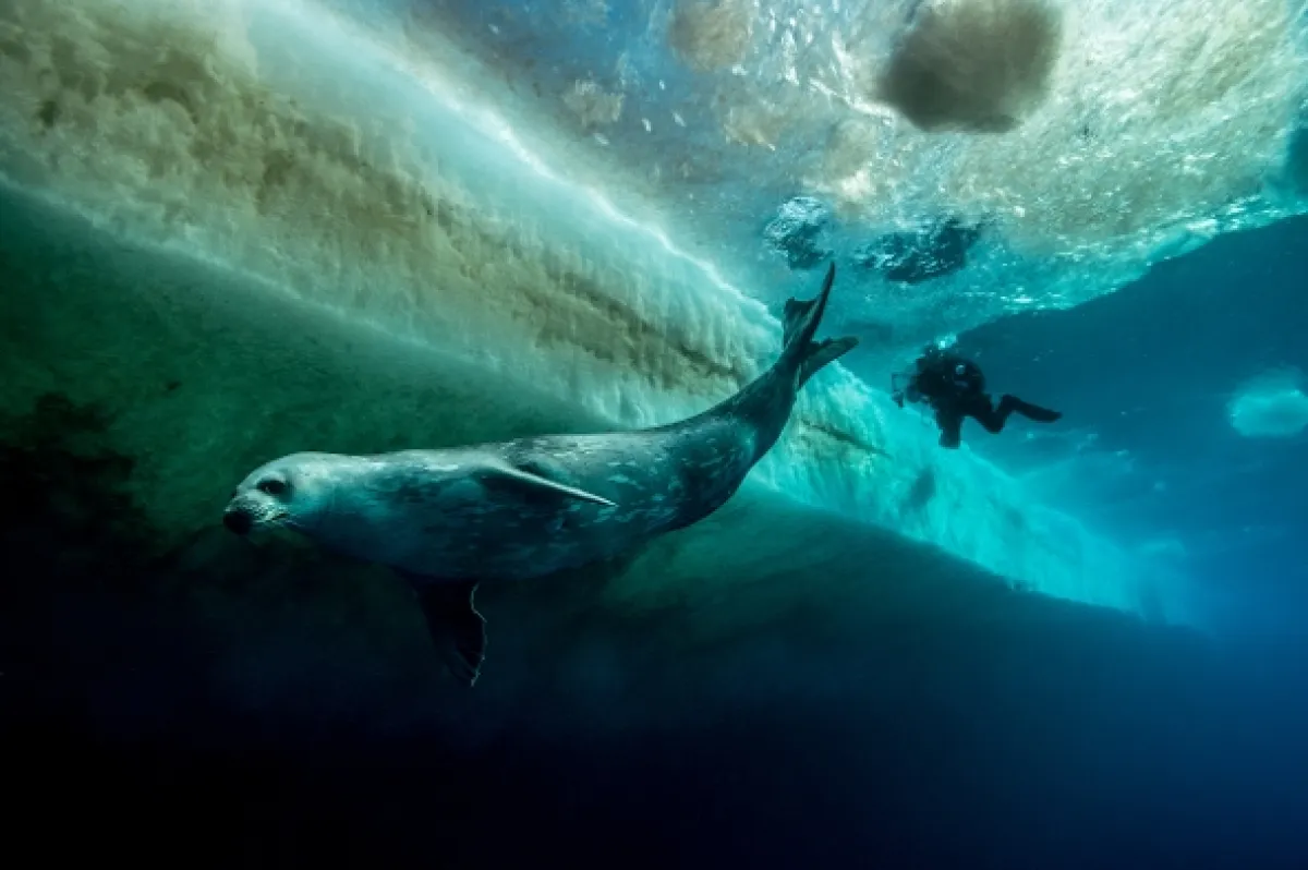 Expedice Antarktida, 2016 - fotogaléria