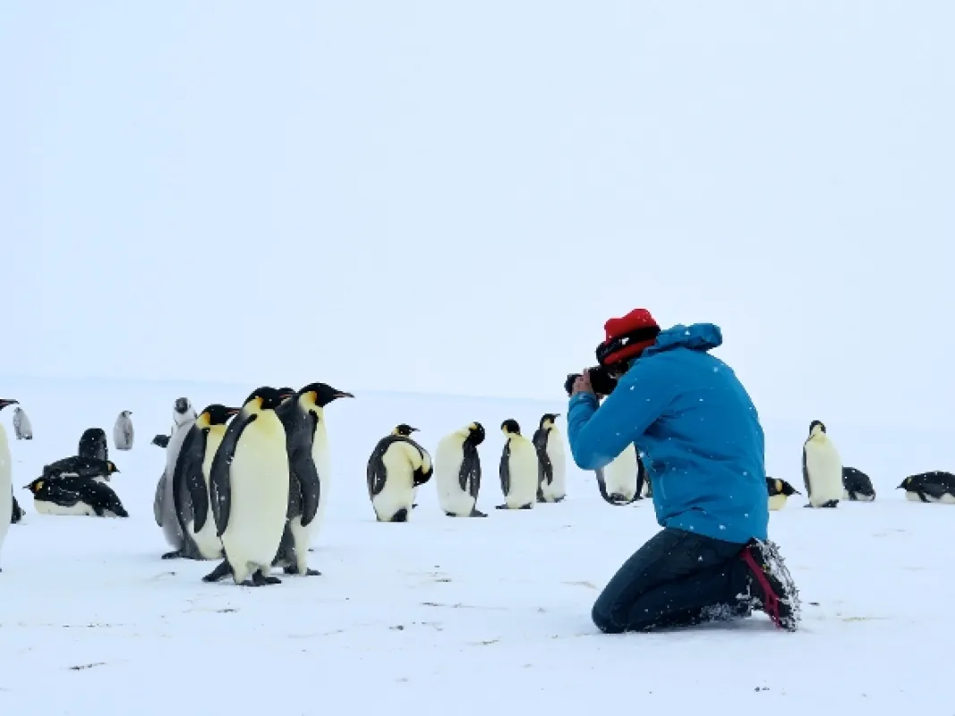 Expedice Antarktida (Expedition Antarctica), 2016 - fotogaléria