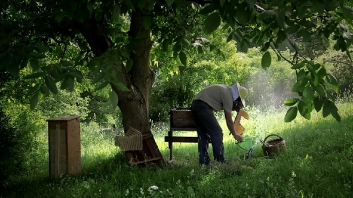 Všetko dobre dopadne - fotogaléria