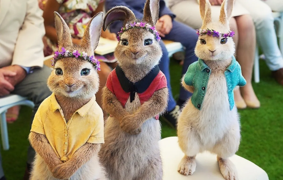 Králíček Petr bere do zaječích (Peter Rabbit 2: The Runaway), 2021 - fotogaléria