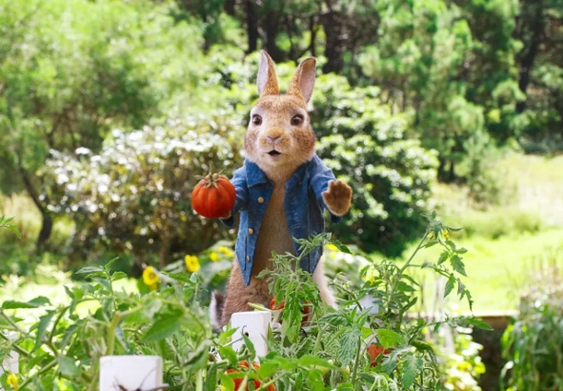Králíček Petr bere do zaječích (Peter Rabbit 2: The Runaway), 2021 - fotogaléria