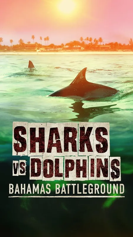 Žraloci proti delfínům: Boj na Bahamách (Sharks Vs. Dolphins: Bahamas Battleground), 2023 - fotogaléria