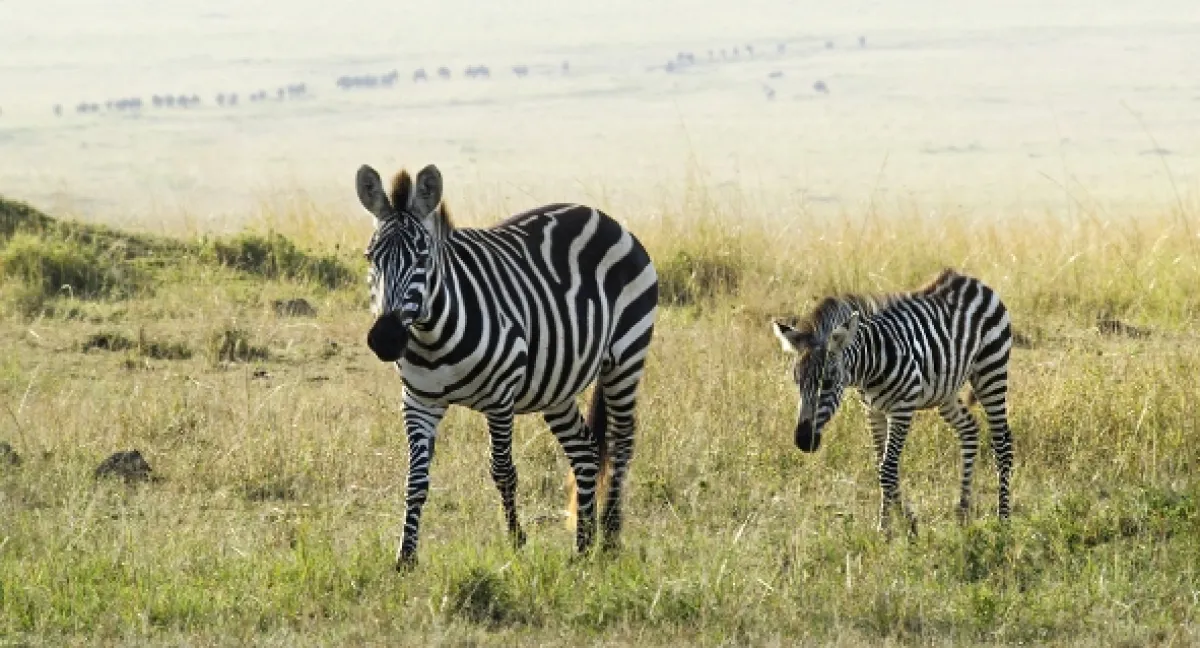 Zem - Deň na zázračnej planéte - fotogaléria