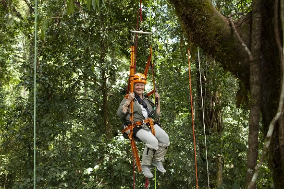 Divoké Borneo Judi Denchové (Judi Dench’s Wild Borneo Adventure), 2019 - fotogaléria