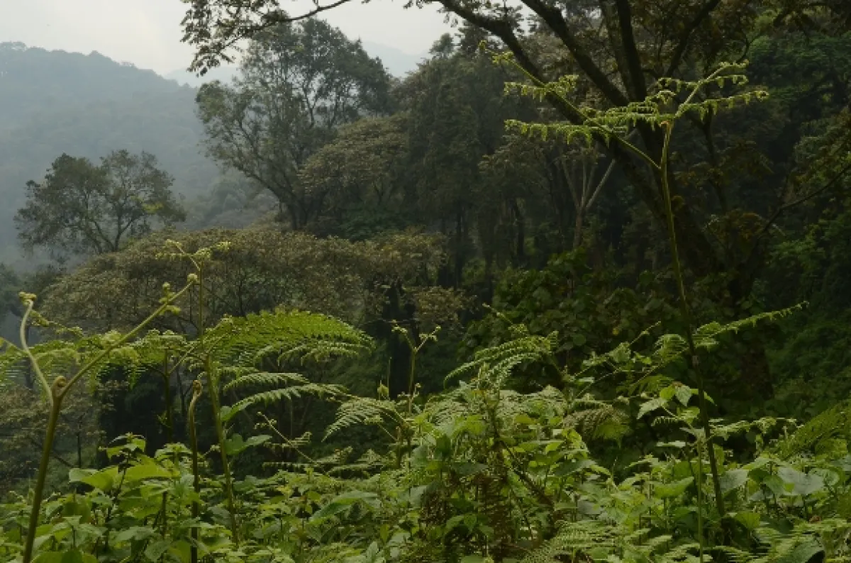 Na cestě po Rwandě, 2014 - fotogaléria