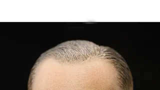 Pouštní generálové (2)