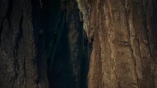 Zázračná planéta: Zelená planéta (3/5)